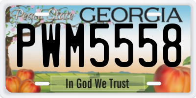 GA license plate PWM5558