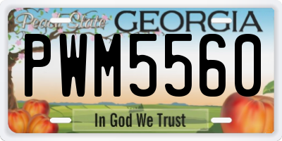 GA license plate PWM5560