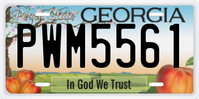 GA license plate PWM5561