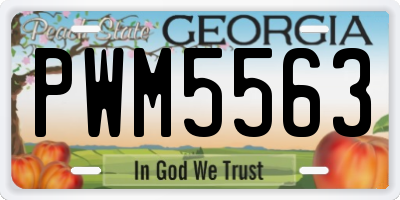 GA license plate PWM5563