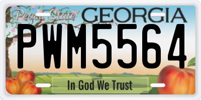 GA license plate PWM5564
