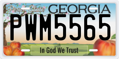 GA license plate PWM5565
