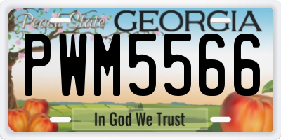 GA license plate PWM5566