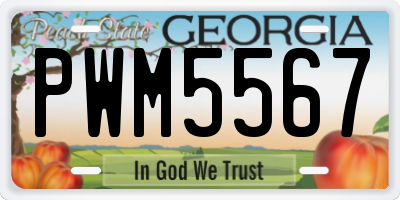 GA license plate PWM5567