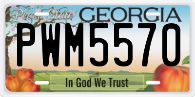 GA license plate PWM5570