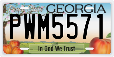 GA license plate PWM5571
