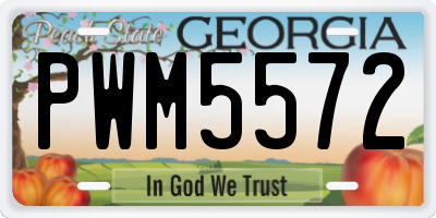 GA license plate PWM5572
