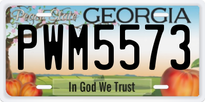 GA license plate PWM5573