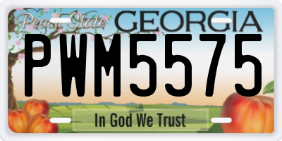GA license plate PWM5575