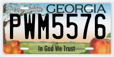 GA license plate PWM5576