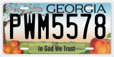 GA license plate PWM5578