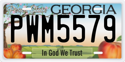 GA license plate PWM5579