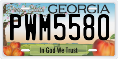 GA license plate PWM5580