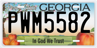 GA license plate PWM5582