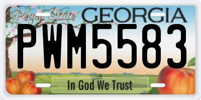 GA license plate PWM5583