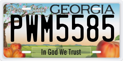GA license plate PWM5585
