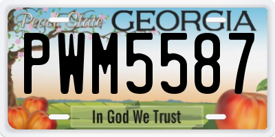 GA license plate PWM5587