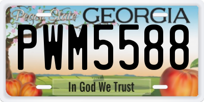 GA license plate PWM5588