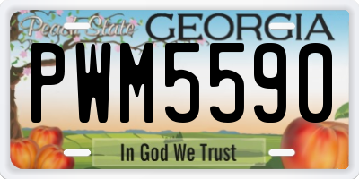 GA license plate PWM5590