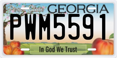 GA license plate PWM5591