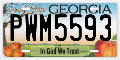 GA license plate PWM5593