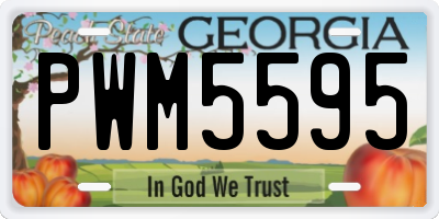 GA license plate PWM5595