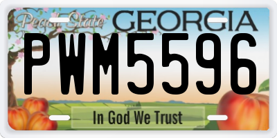 GA license plate PWM5596