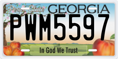 GA license plate PWM5597