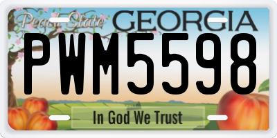 GA license plate PWM5598