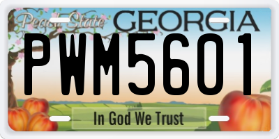 GA license plate PWM5601