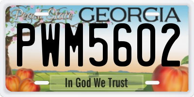 GA license plate PWM5602