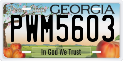 GA license plate PWM5603