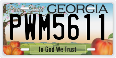 GA license plate PWM5611