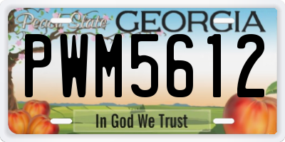 GA license plate PWM5612