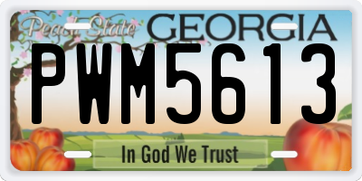 GA license plate PWM5613