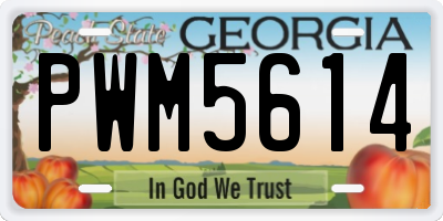GA license plate PWM5614