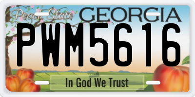 GA license plate PWM5616