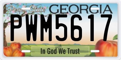 GA license plate PWM5617