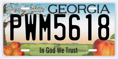 GA license plate PWM5618