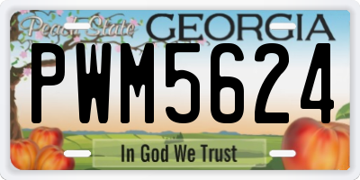 GA license plate PWM5624