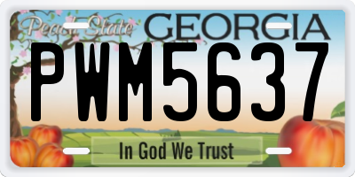 GA license plate PWM5637