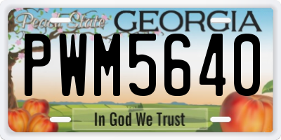 GA license plate PWM5640
