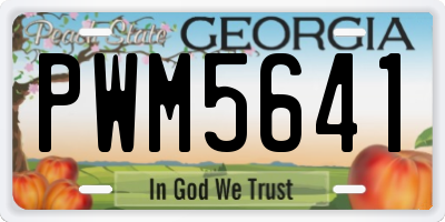 GA license plate PWM5641