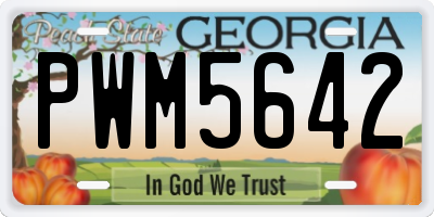 GA license plate PWM5642