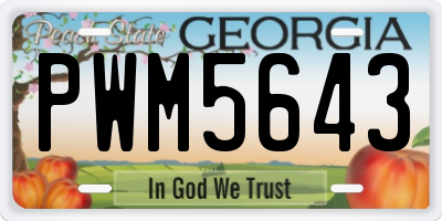 GA license plate PWM5643