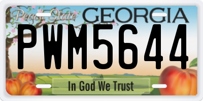 GA license plate PWM5644