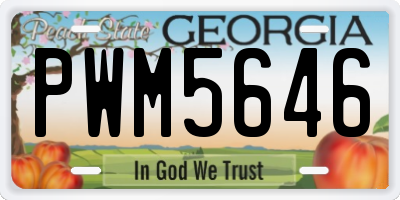 GA license plate PWM5646