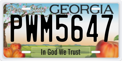 GA license plate PWM5647