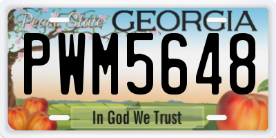 GA license plate PWM5648