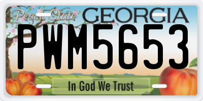 GA license plate PWM5653